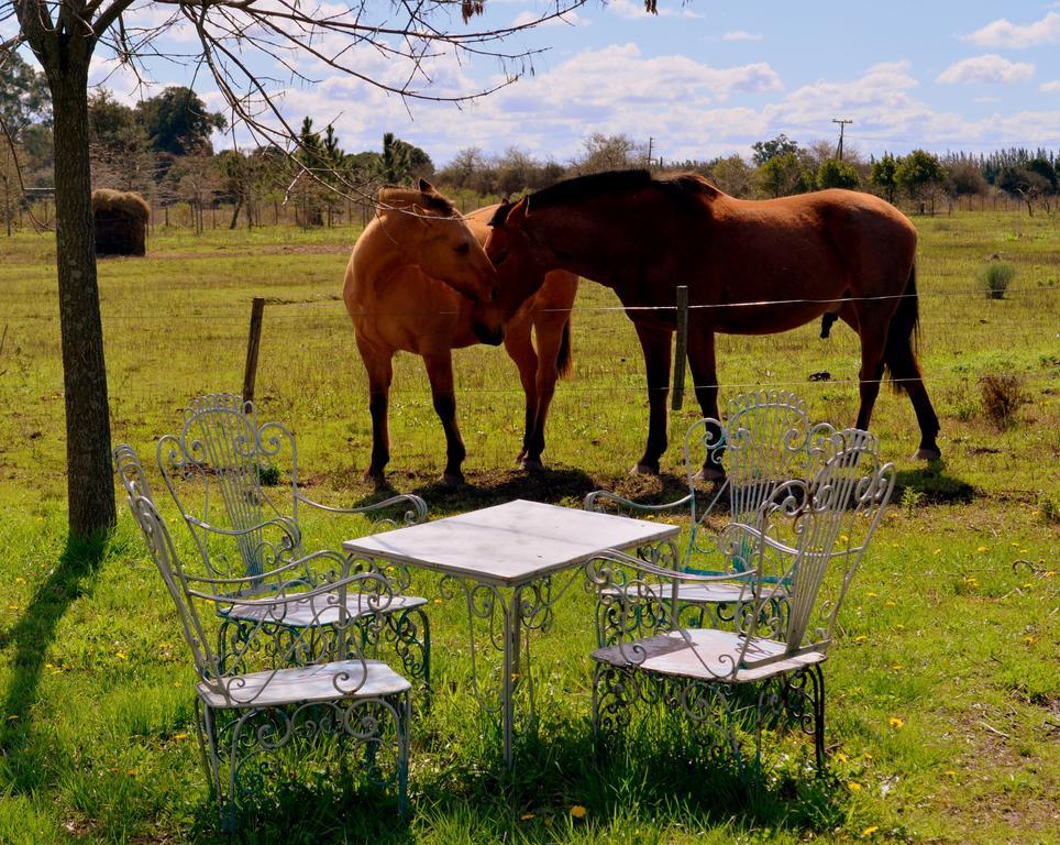 فيلا سان أنطونيو دي أريكوفي El Ranchito De Areco المظهر الخارجي الصورة